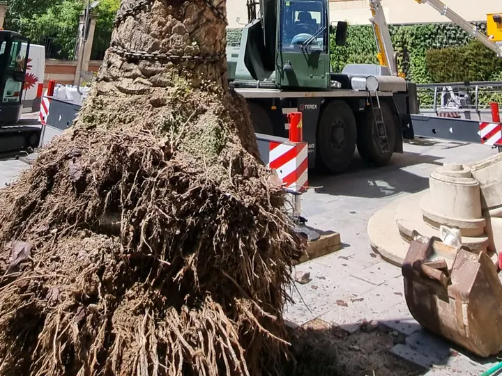 0b171540-e54c-4566-b8bc-d93871094cc7